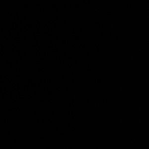 Meet your Posher, Sierraeric22